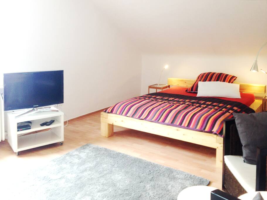 Bed in Living Room