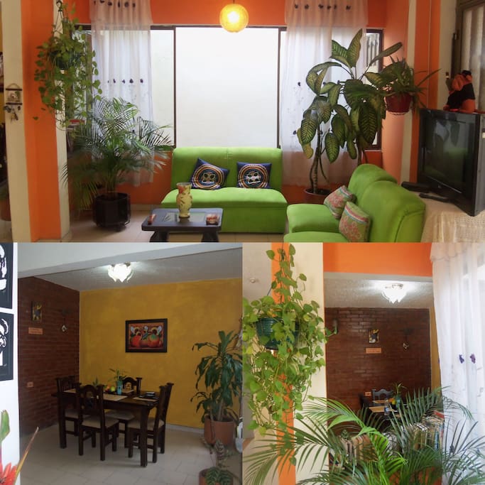 living room and dinning room