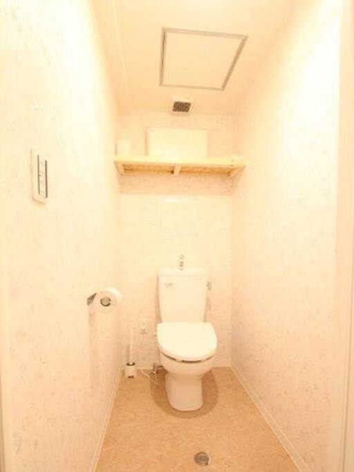 clean toilet !