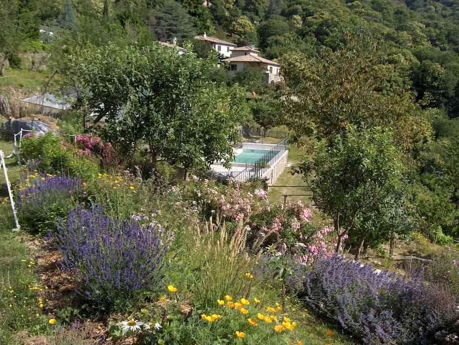 La piscine dans son environnement