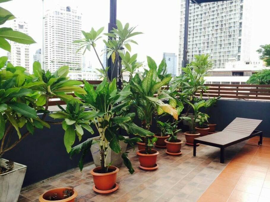 Rooftop Garden