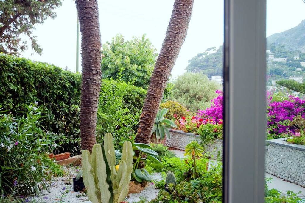 Giardino
