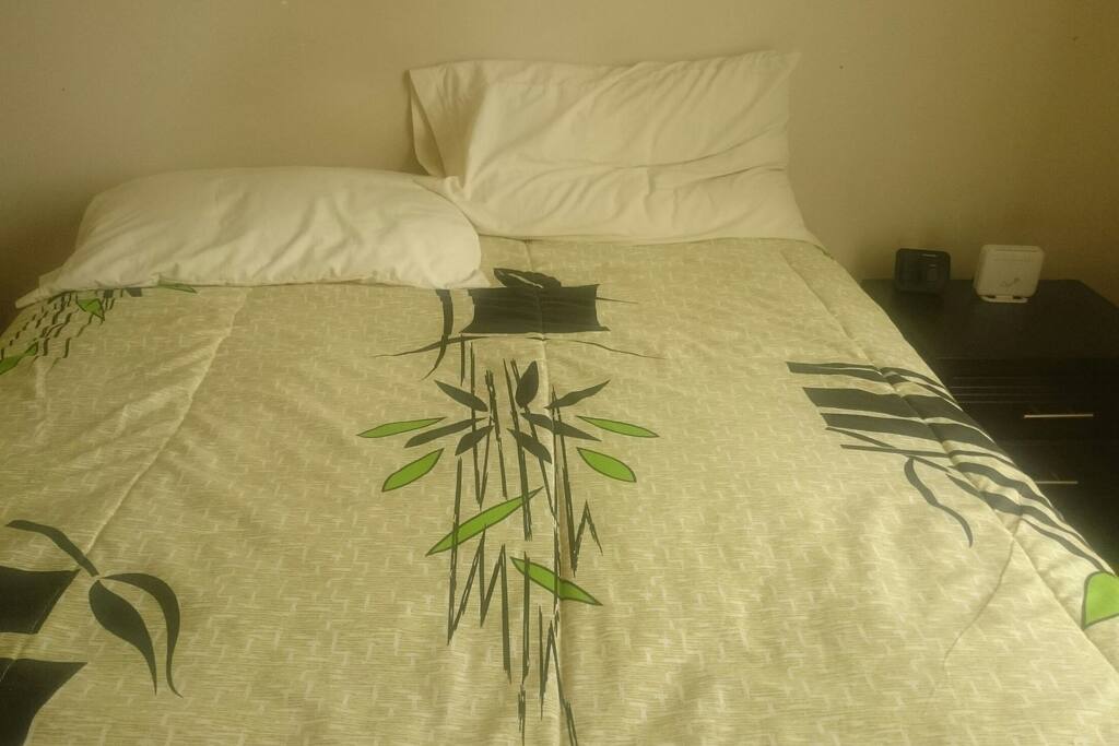 Habitacion con cama, servivicio de internet, telefono y baño privado.