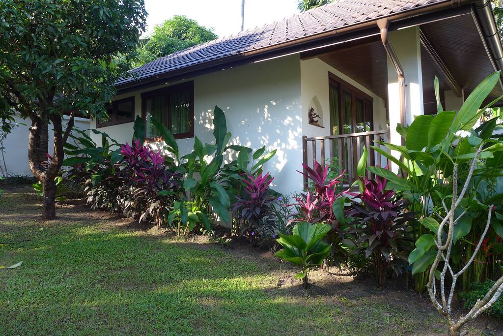 tropical garden