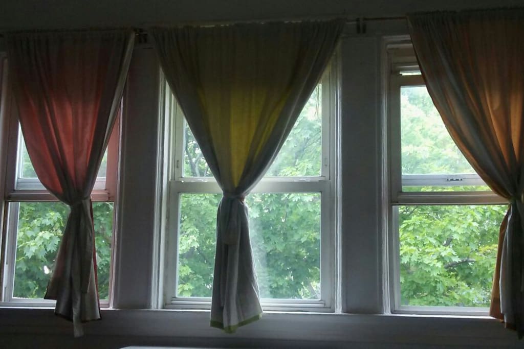 Maple tree filters the light coming into front bedroom