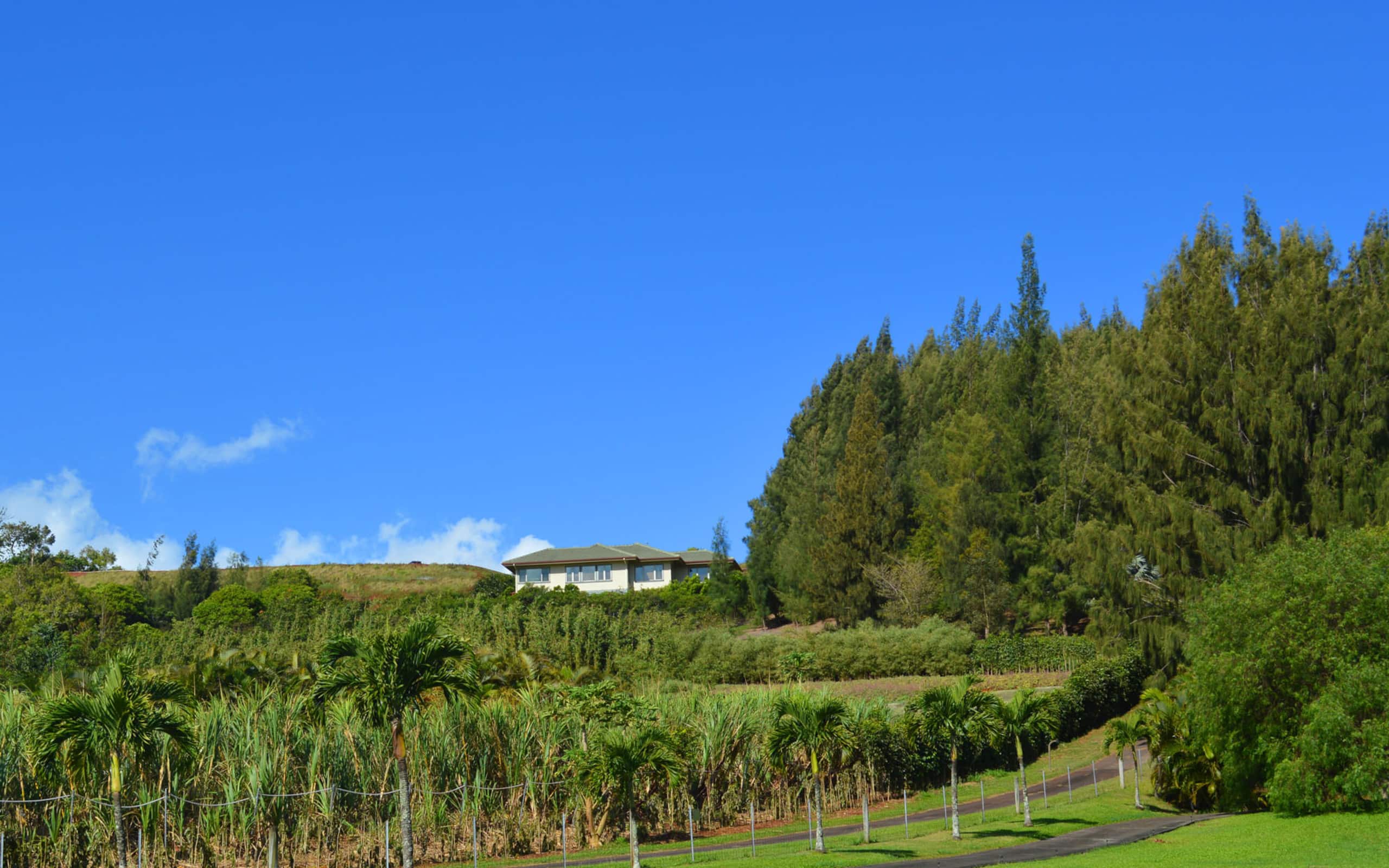 Home in Haiku-Pauwela · ★4.91 · 2 bedrooms · 3 beds · 1 bath - Main photo
