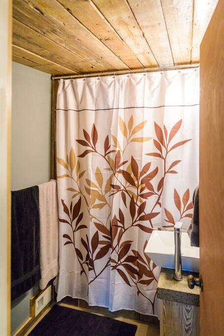Downstairs bathroom (newly renovated)