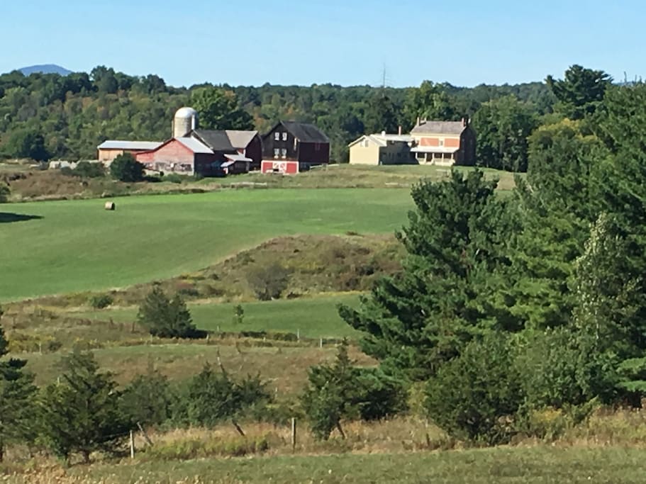 view from the east