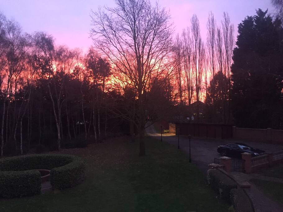 Winter sunset