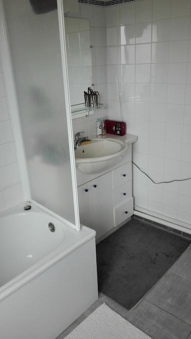 SdB avec baignoire et machine à laver. Serviette, gant de toilette, gel douche/shampoing/dentifrice fournis. Sèche-cheveux et lisseur à dispo.