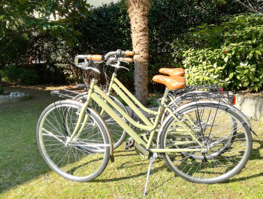 2 bikes for free