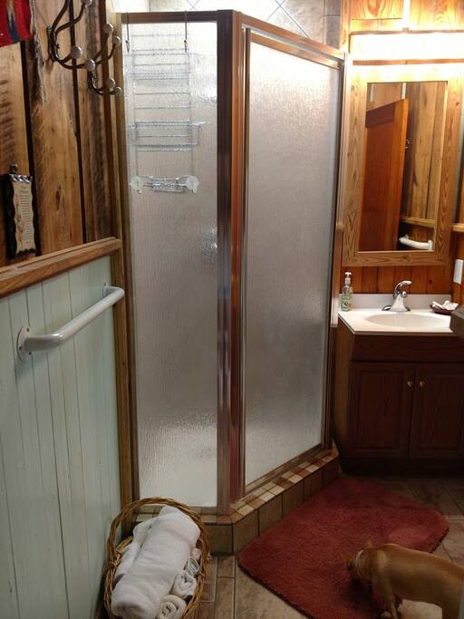 Shower and Sink in Bathroom Area
