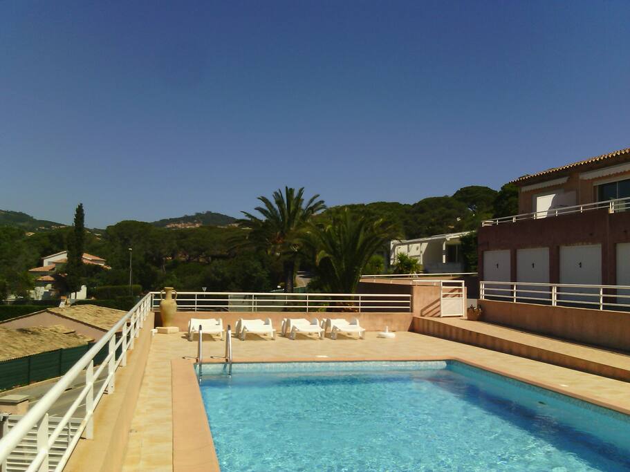 Piscine avec transats et parasols