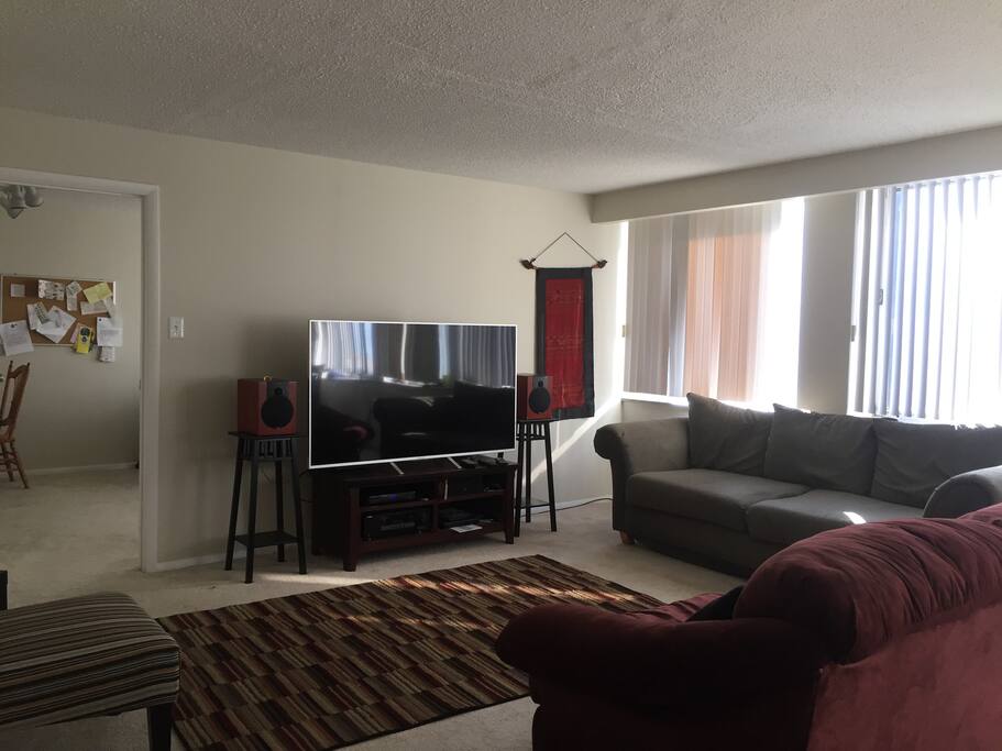 Access to 65" TV