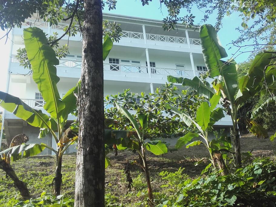 Hillside House from below, August 2017