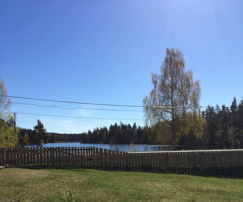 View from the house