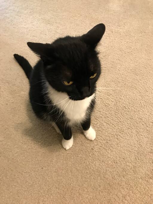 This is my friendly co-host Tyrone, always dressed to the nines.