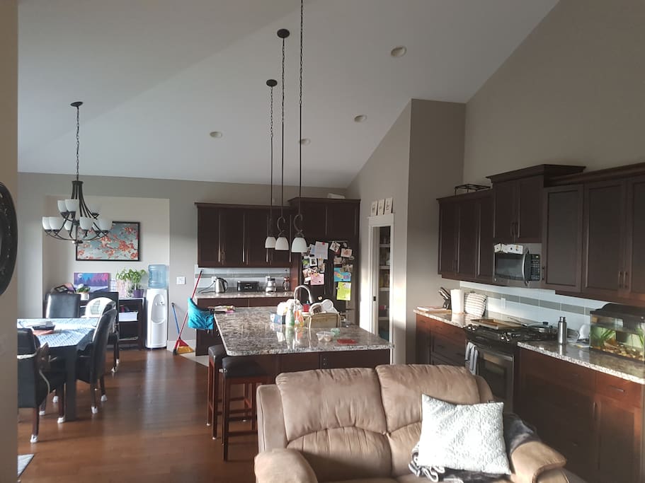 Living Room / Kitchen