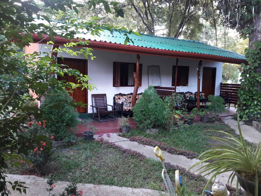 garden