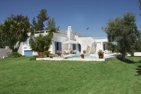 Cycladic villa with pool near the sea