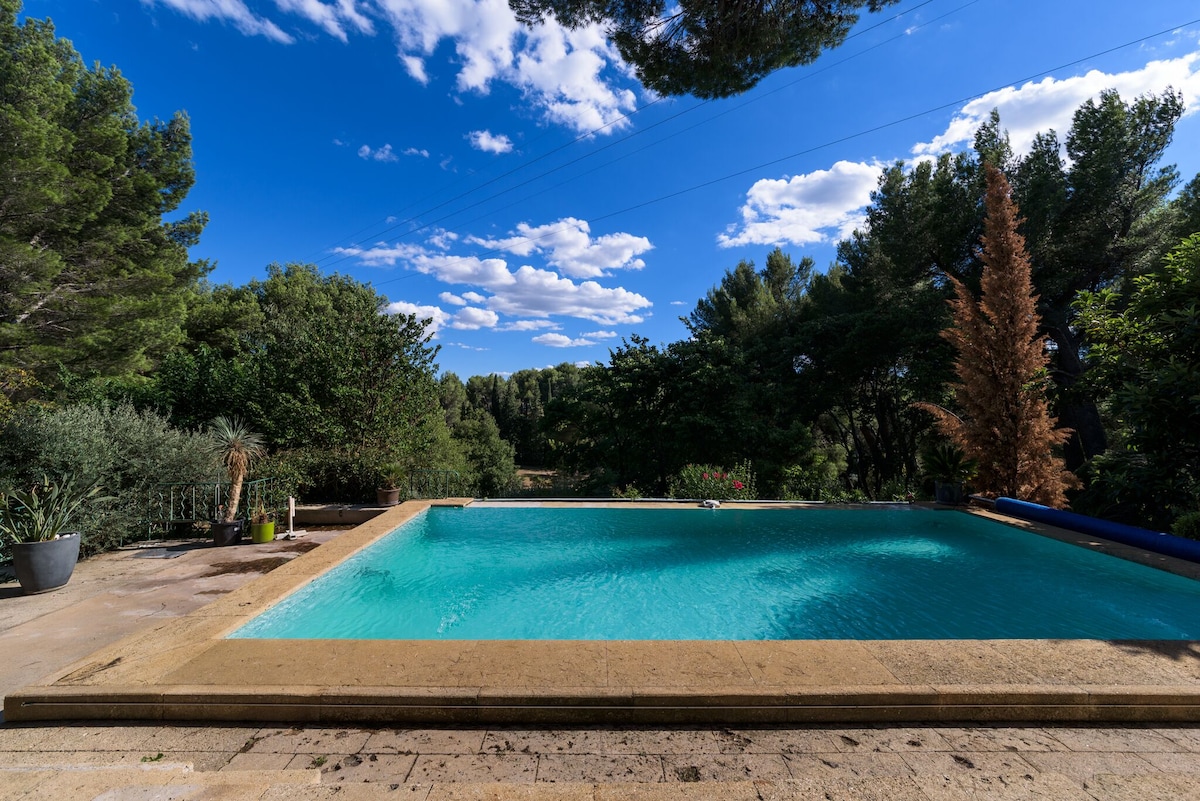 A serene outdoor pool is framed by lush greenery, offering a tranquil setting. The clear blue water reflects the sky, where fluffy white clouds float. Surrounding trees and plants create a private atmosphere ideal for relaxation.