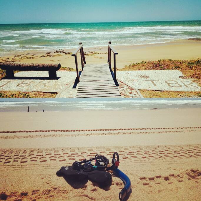 Surf? Mergulho? Praia?