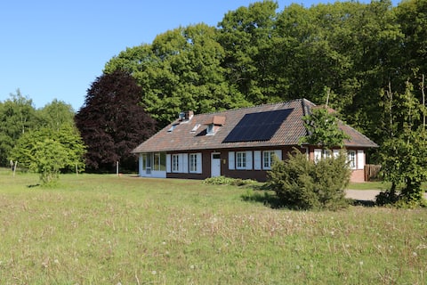 Heath forest "Lost treasures" - Nat. Park Hoge Kempen
