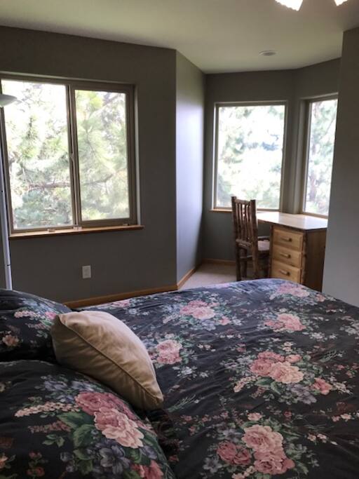 Room has great natural lighting.