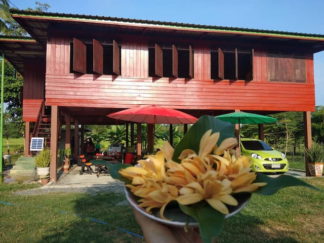 Lung Hnong Garden & Homestay