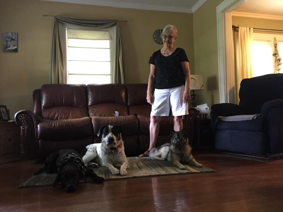 Myself with black airbnb guest dog, Obsidian, larger granddog, Phoenix and my dog, Shasta. Very friendly.