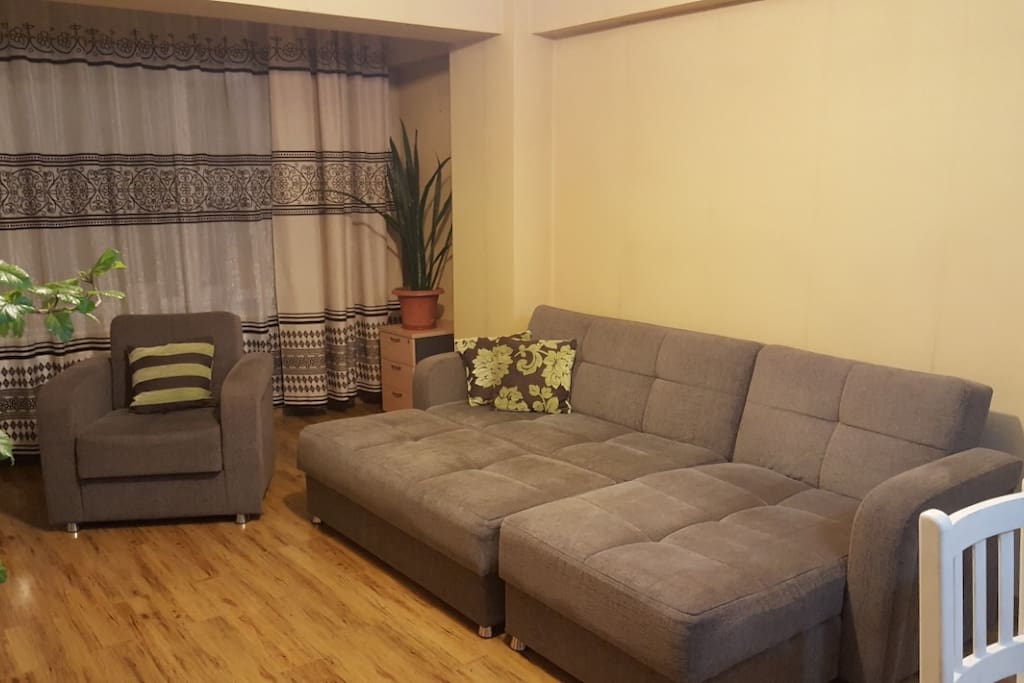 Living room has a sofa bed