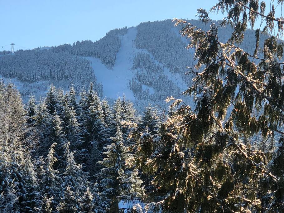 Close up view from Living Room - Dec 3, 2017