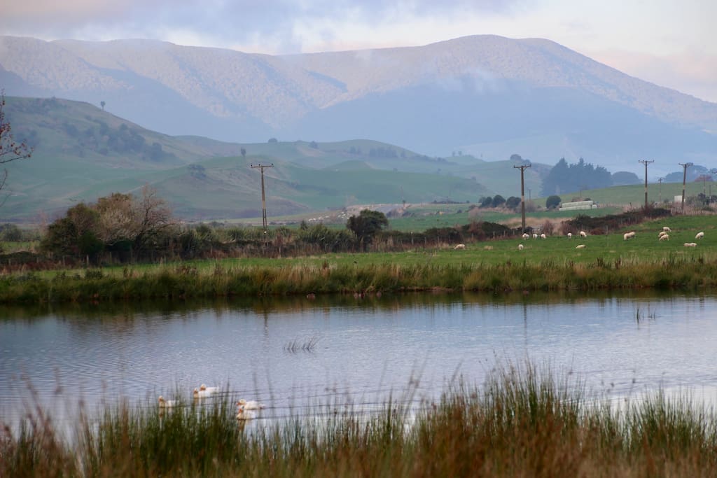 View of Redan Valley from our pond