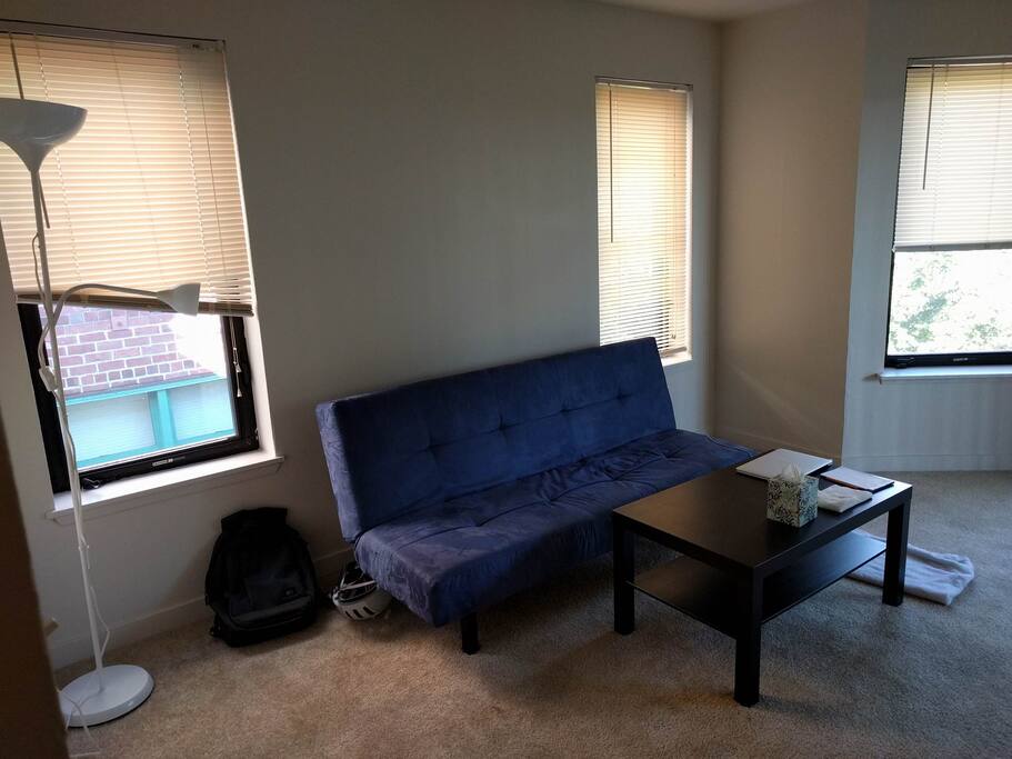 The living room