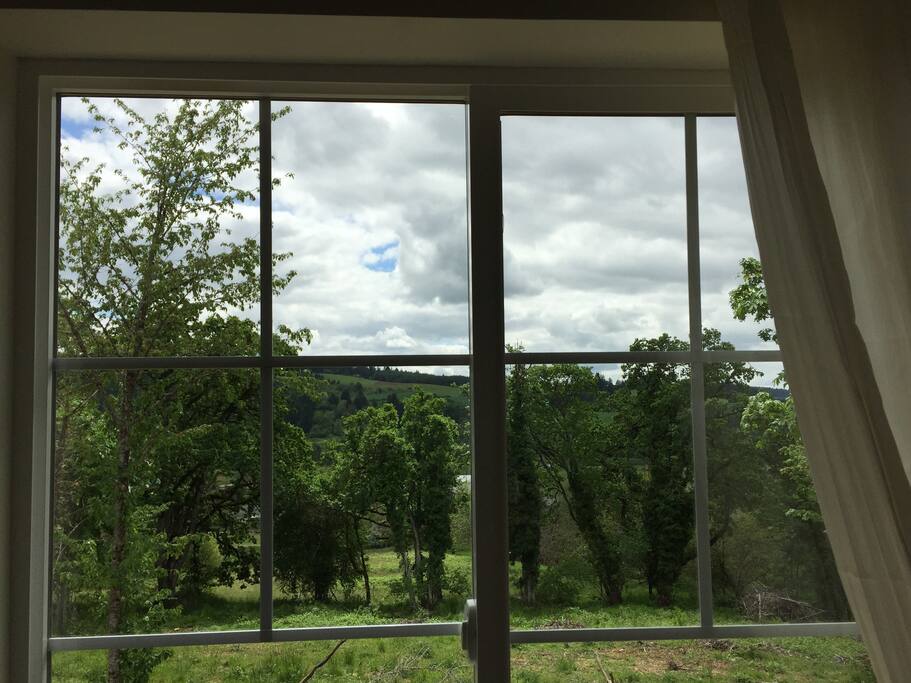 View from Master Suite
