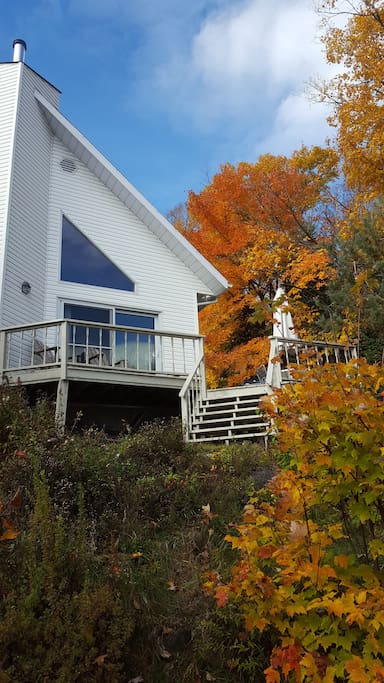 Fall Foliage