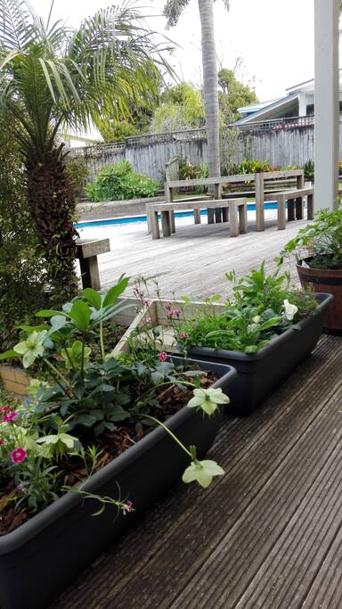 View of pool