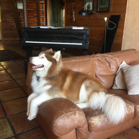 Rated #2 BEST Airbnb in Cali by Travel+Leisure! gallery image 5