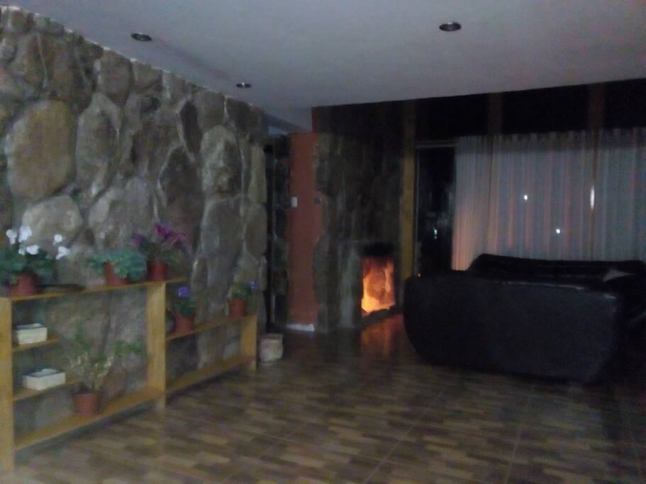 Recibidor y Sala