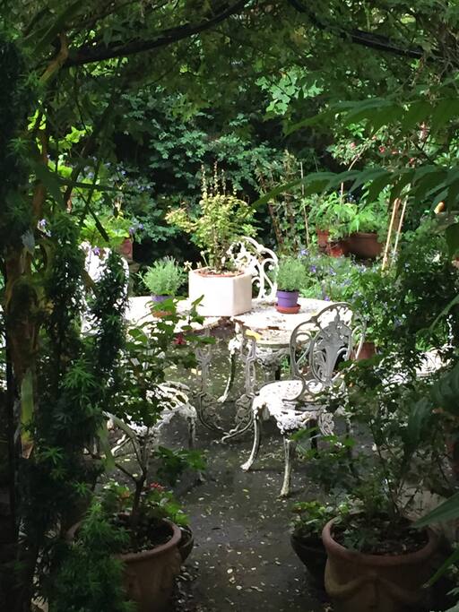 mature garden