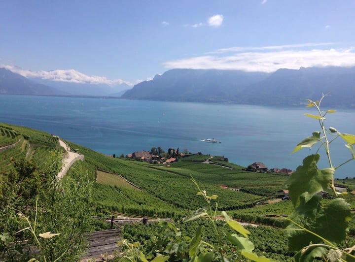 Chexbres Holiday Rentals & Homes - Vaud, Switzerland | Airbnb