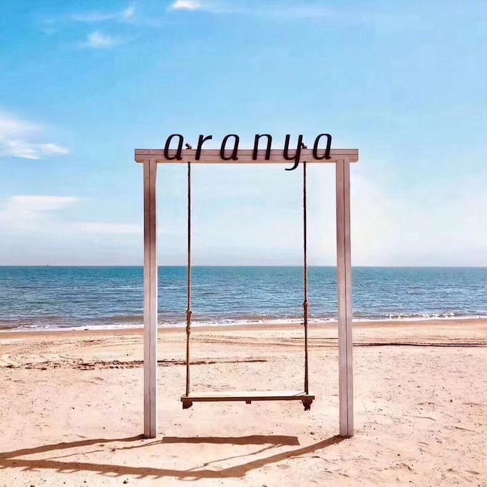 海边秋千