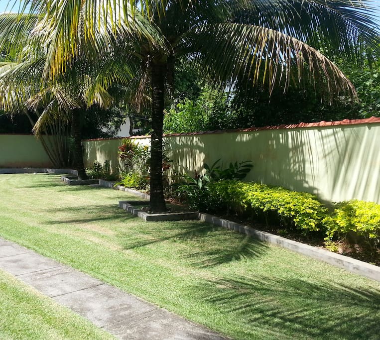 Jardim.