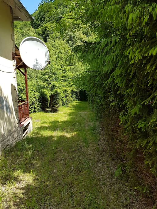 Yard of the cottige