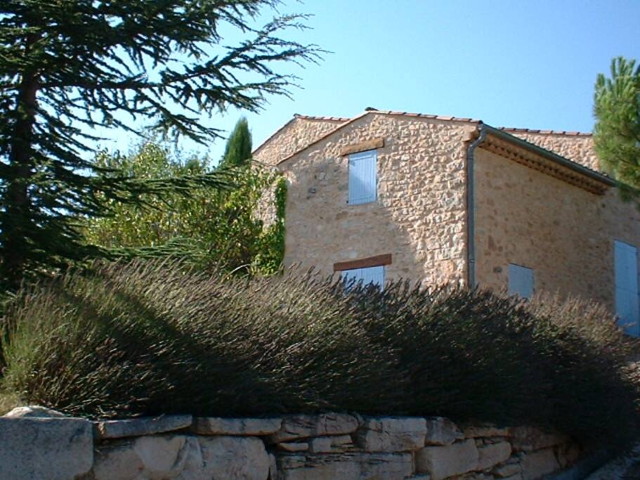 Lavande, pins, chênes verts …venez respirer