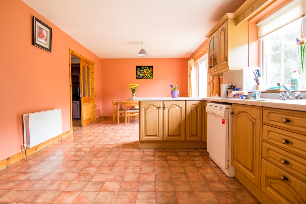 Modern Kitchen