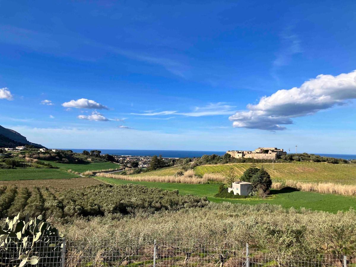 Rolling hills adorned with olive trees stretch towards the horizon, where a coastal view meets the sky. A small structure is visible amidst the greenery, complemented by a backdrop of distant ruins and the shimmering sea under a bright blue sky.