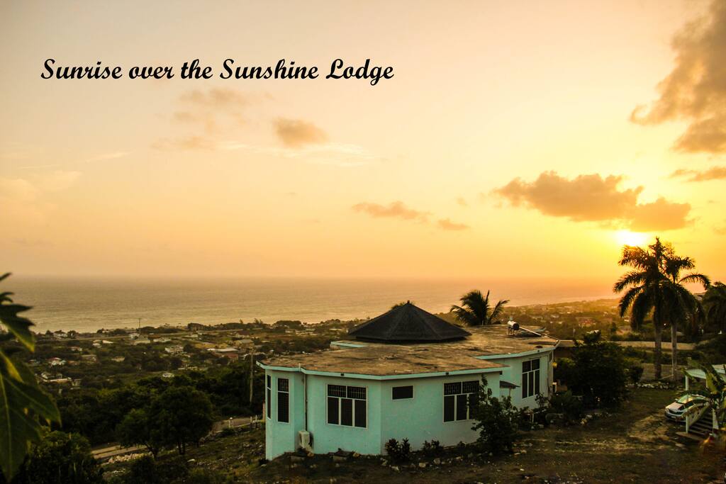 Welcome to Paradise