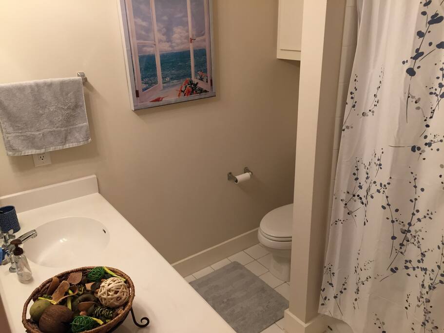 Guest bathroom.