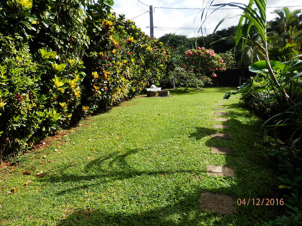 A lush garden is presented, featuring well-maintained grassy areas bordered by flowering shrubs and trees. A stone path leads through the greenery, with a decorative fountain visible in the distance. Sunlight filters through the foliage, creating a serene outdoor space.